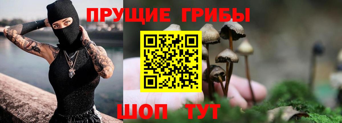 Псилоцибиновые грибы мицелий Кумертау